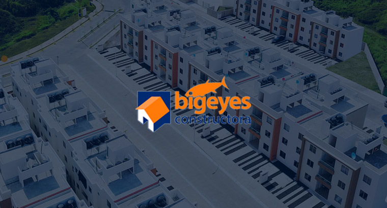 Bigeyes Constructora - Constructora Desarrollando en Nayarit